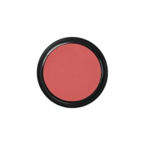 Ben Nye eyeshadow red pink