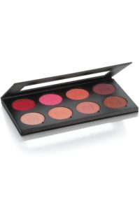 Ben Nye eyeshadow dark selection