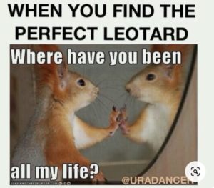 The perfect leotard meme