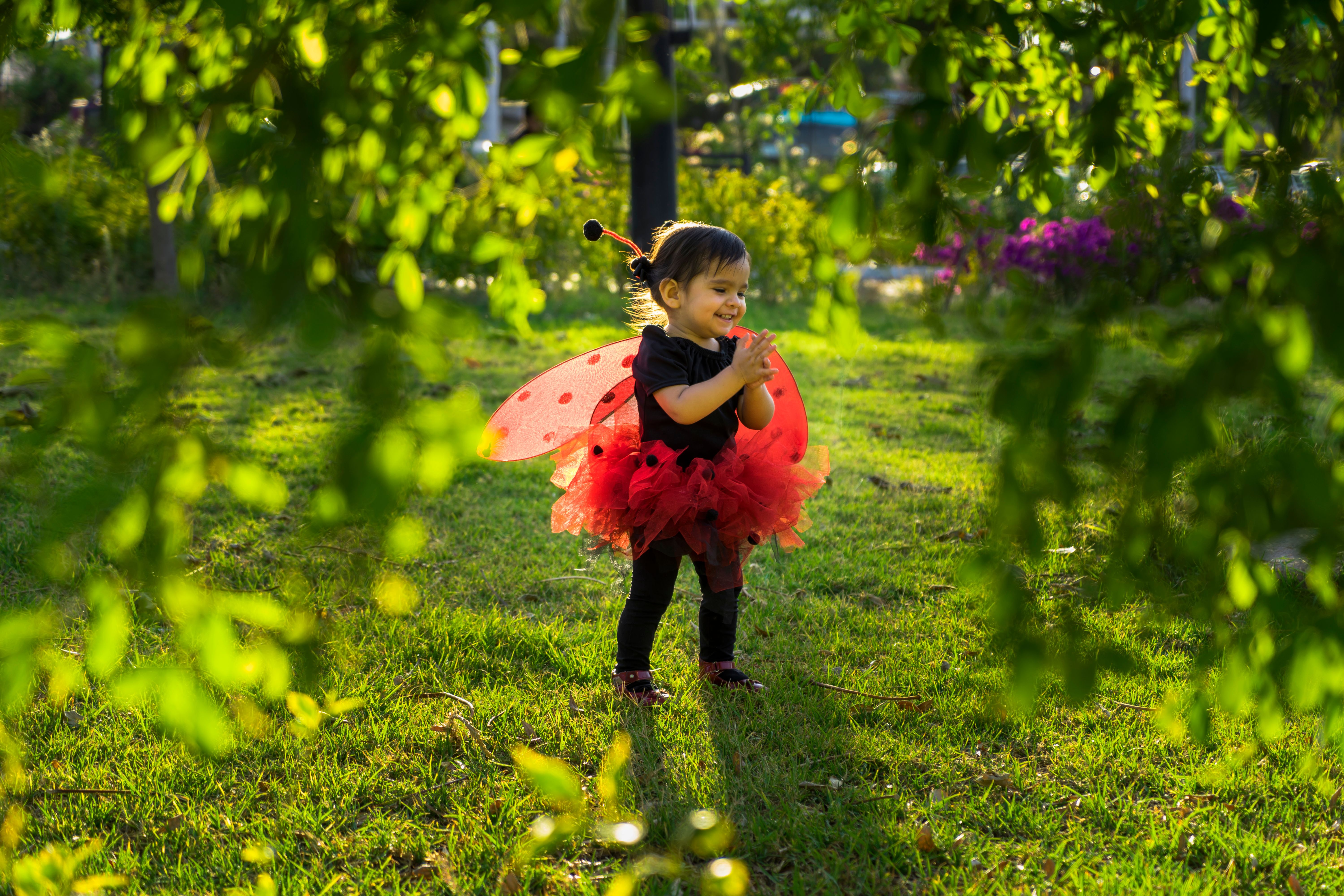 Halloween costume ideas for dancers ladybug child